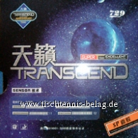 Friendship 729 SP (Transcend)