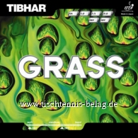 Tibhar Grass
